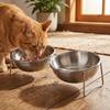 Large Capacity Elevated Pet Food Bowl Neck Protection Cat Food Feeder  Indoor Feeding