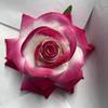 Rose Realistic Simulation Artificial Floral Wedding Decoration Photography Prop