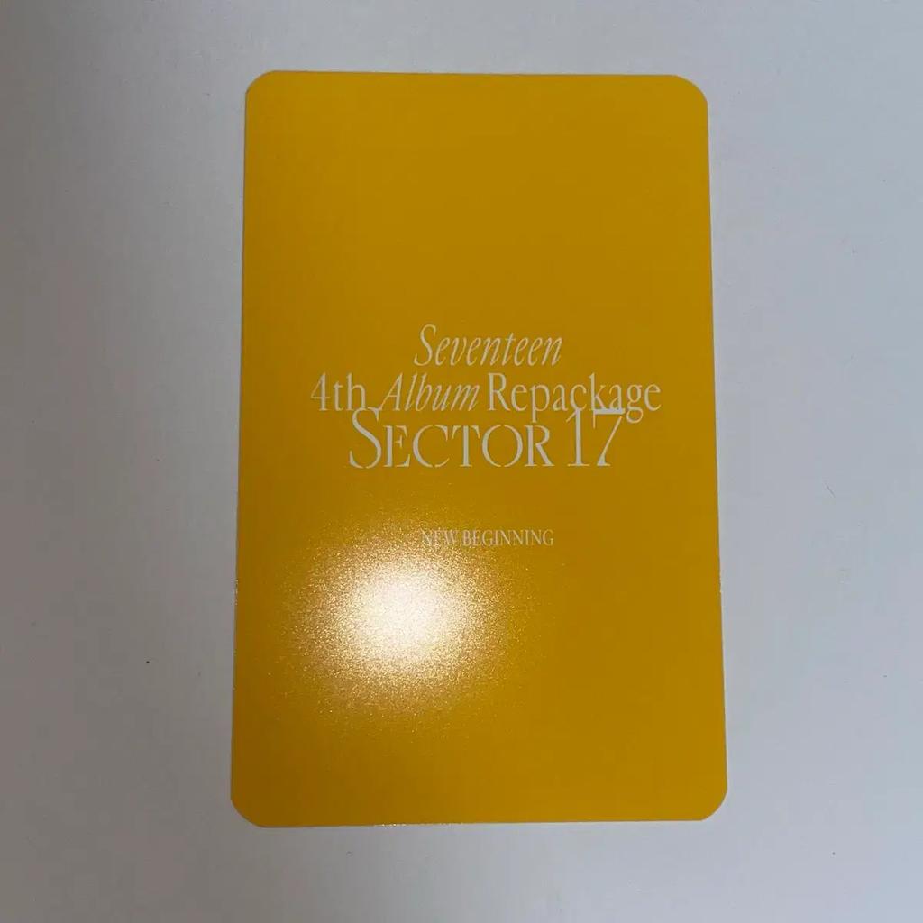 SEVENTEEN Established Ragdo Used