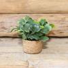 1Pcs Home Garden Furniture Decor Toy 1:12 Dollhouse Miniature Simulated Tree Potted Green Potted Plants Doll House Accessories