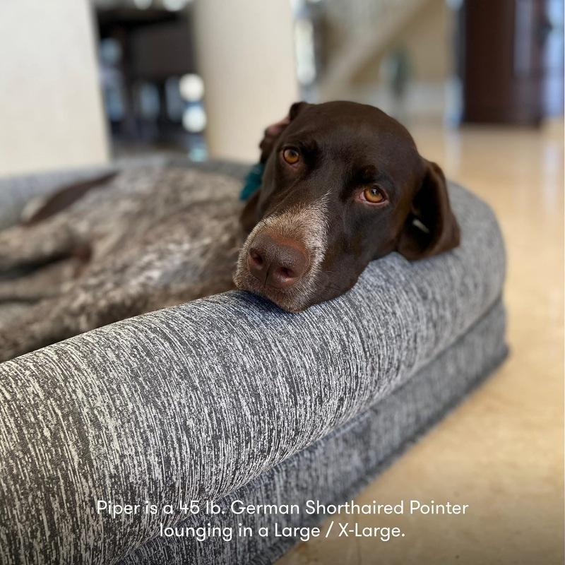 Pet Sofa Bed: Fully Detachable, Washable, Soft Sponge Pad for Small, Medium, and Large Dogs and Cats