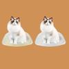 Cat Window Perch Cat Window Hammock Cat Resting Shelf Suction Cup for Indoor Cats Window Mounted Cat Bed Window Mount Hammock
