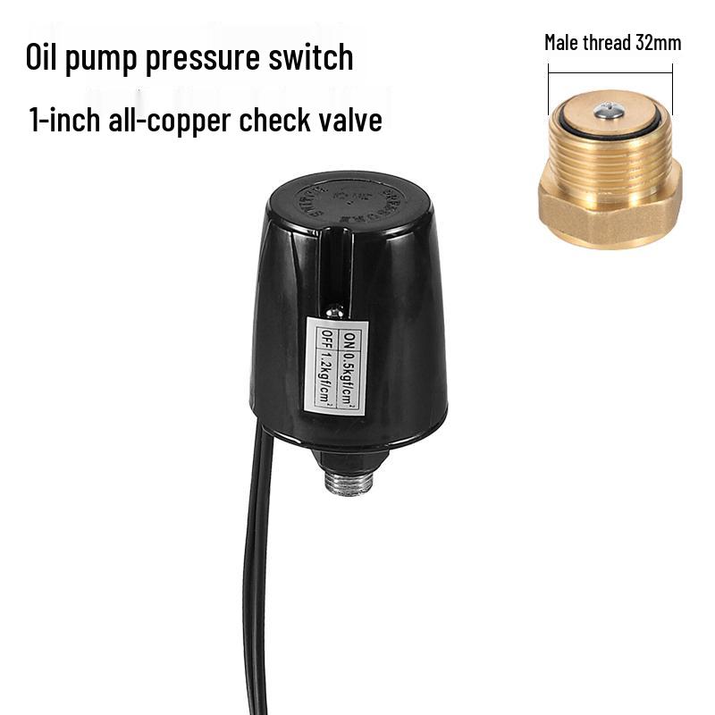 Adjustable Pressure Oil & Water Pump with Switch & Check Valve, Self-Priming Household Accessory