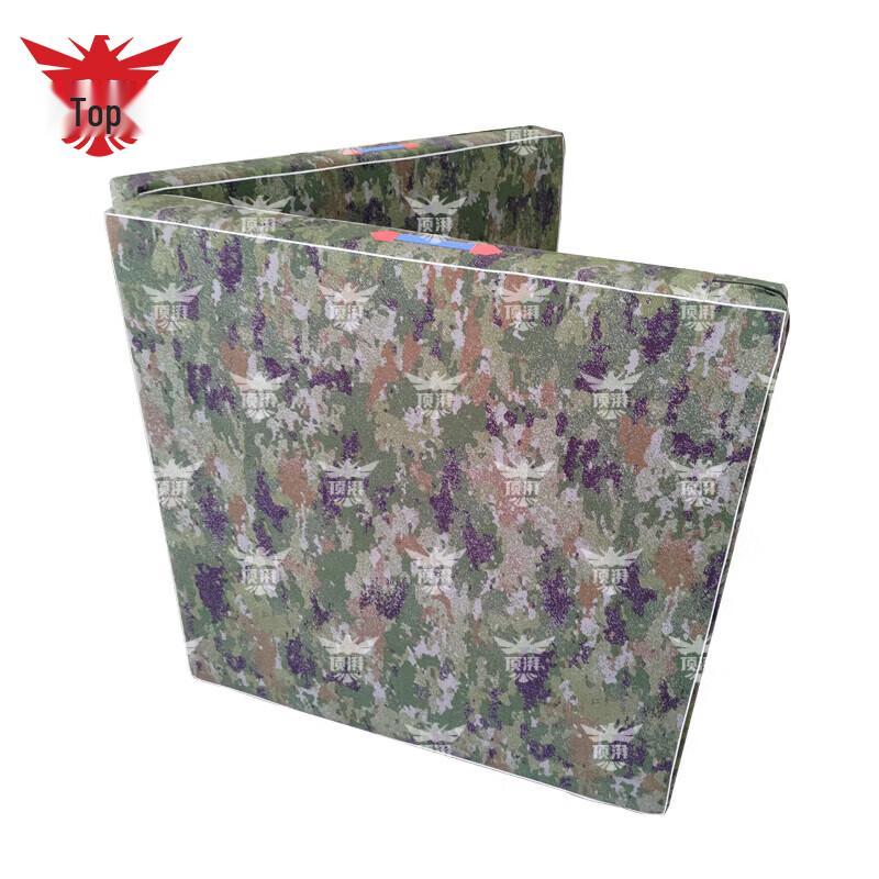 Dingpai Folding Gymnastics & Exercise Mat