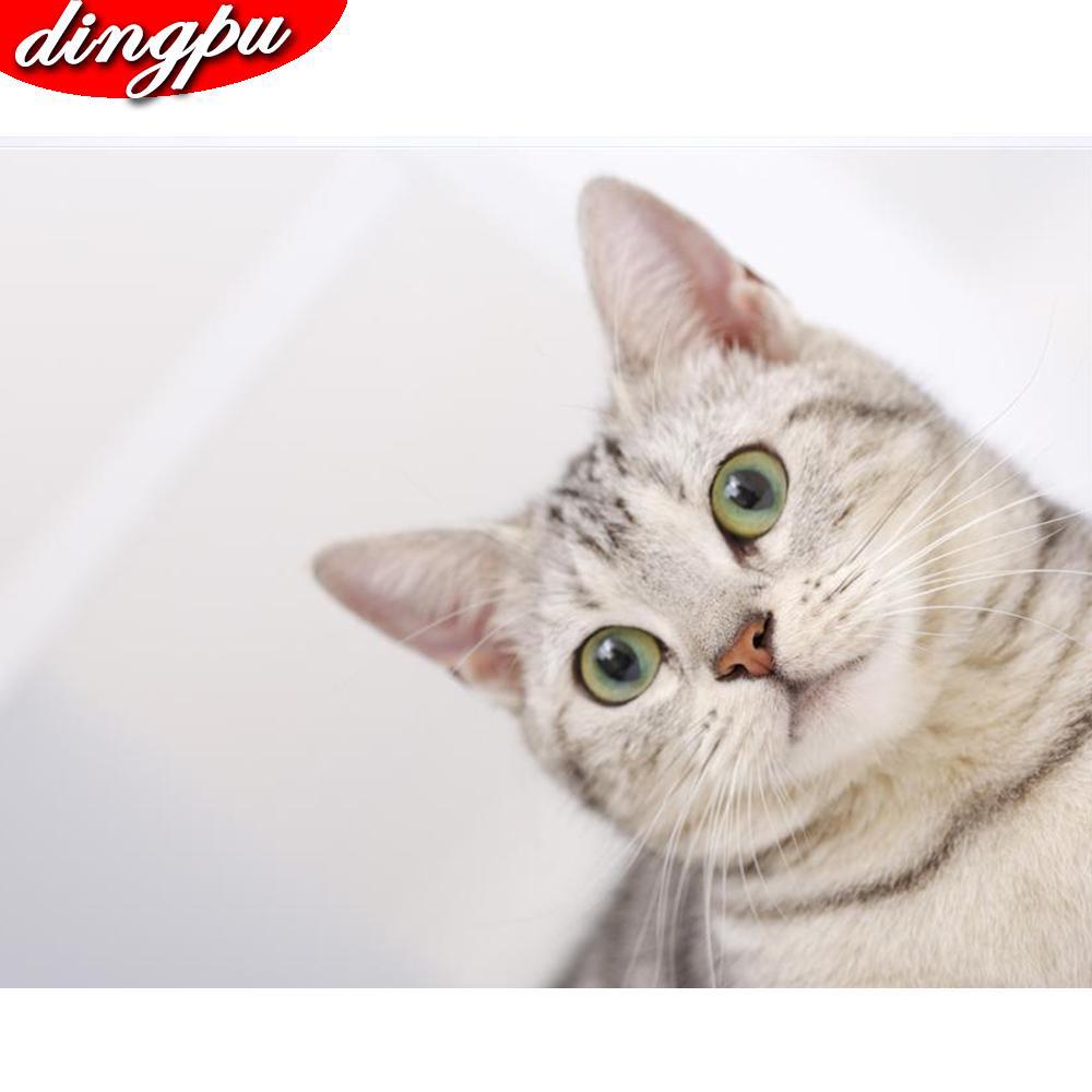 DIY Diamond Painting 5D Animal Full Round Diamond Mosaic Cat Embroidery Home Decoration Sale