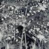 Renaiss Black and White Dandelion Shower Curtain Abstract Cute Floral Pattern Shower Curtain for Bathroom Art Painting Firework Design Shower