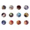 Dream Craftsmen Black Fairy Trading Foil Can Badge Vol.9 12pcs Box