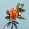 Simulation Flower Chinese Peony Home Furnishing Living Room Decoration Floor Ornament Photography Props Fake Flower