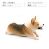 8 Simulated Dog Models Golden Retriever Bona Mountain Dog St. Bernard Short Legged Corgi Static Ornament Toys