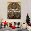 Game Sshadow Of The Colossus Tapestry Decoration Art Microfiber Background For Bedroom Living Bar Garden Outdoor Festival