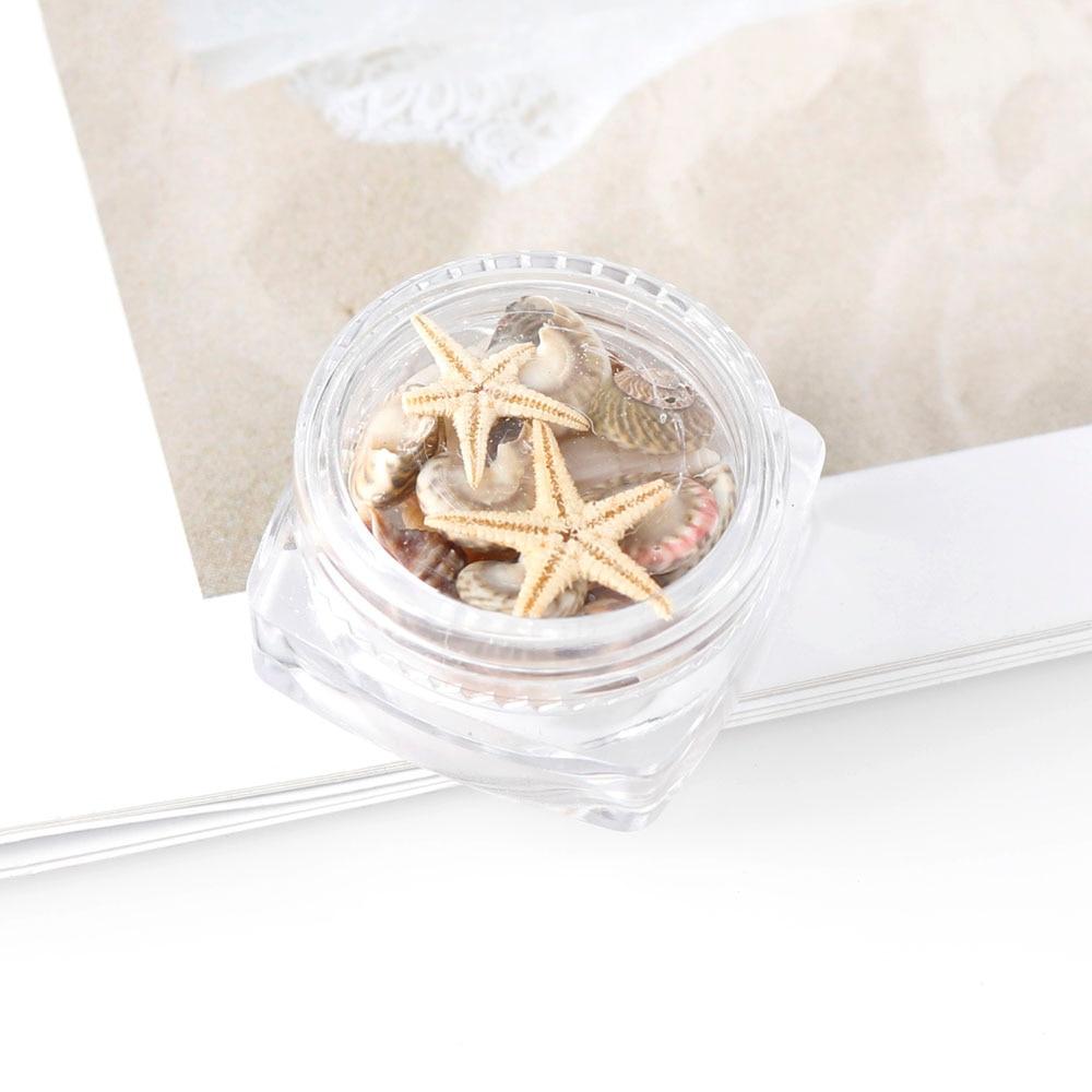 Exquisite Shell Conch Natural Shell Flat Bottom Conch Jewelry Accessories Micro Landscape DIY Nail Art Decoration