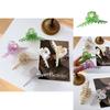 Trendy Acetate Hair Claw Clip In Fresh Sweet Korean Style Available In Multiple Colors
