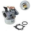 Carburetor for Quantum Engines Including Choke Seals 498965 494216 698056