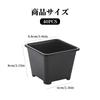 Kasanidika Seedling Set of X for Succulents and Houseplants Slits To Prevent Root Durable PP Indoor Gardening Pots, 40, 8.8cm 8cm, - Rot, Plastic,