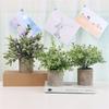 Artificial Grass Plastic Simulation Potted Plant Desktop Decoration for Living Room