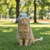 Funny Cat Knitted Hat Braid Design Pet Cosplay Headwear Cute Cat Warm Hat  Photo Props