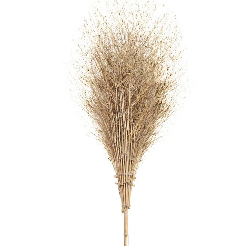 DIANA Leafless Bamboo Street Broom