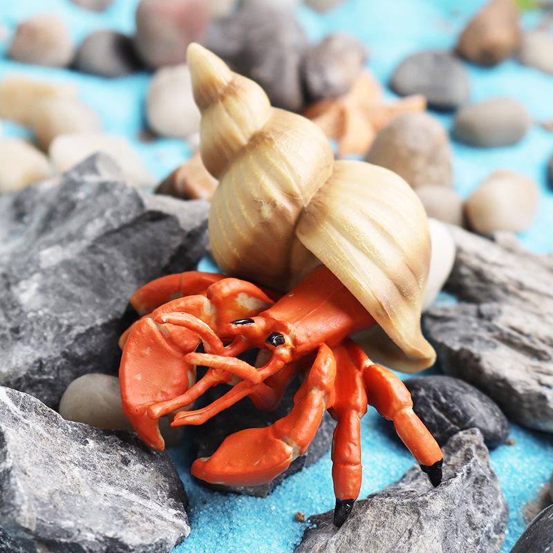 Children's Cognitive Toy: Hermit Crab Marine Animal Model Ornament