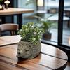 Animal Succulent Pots Cartoon Turtles/Snail/Hedgehog Plant Container Resin Planter for Indoor Cactus and Bonsais