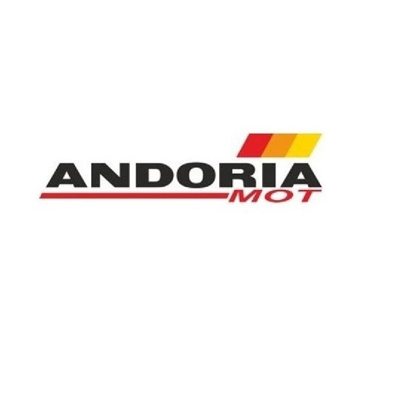 C-360 ANDORIA clutch release pin, packed in 3 pieces, price shown is for 1 piece