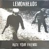 LP Record LEMONHEADS  Hate Your Friends FIRELP235 Fire Records 2022 UK Rock