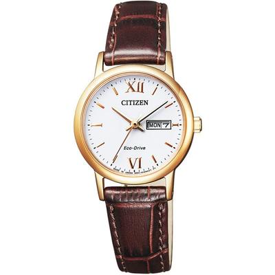 Citizen Dámské EW3252-07A ( Sledujte CITIZEN COLLECTION Eco-Drive Day-Date Women's) Kulaté hodinky hnědé