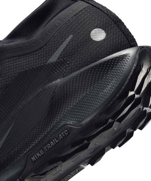 Nike Pegasus Trail 5 GORE-TEX M [FQ0908-002]