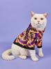 Halloween Pet Hoodie with Orange & Purple Swirl Print, Skull Motifs, Hooded Sweatshirt for Small Dogs/Cats, Edgy Festive Outfit