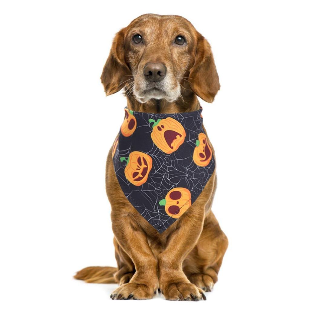 Halloweenský duch mazlíček bandana roztomilý a všestranný kočka a pes mazlíček bryndák