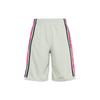 Jordan Basketball Shorts Men's Gray Pink Moderate Straight Fit Pants BQ8393-334