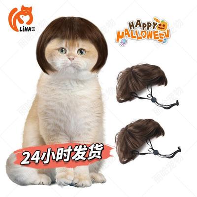 Pet Wigs for Cats and Dogs: Fun Headdresses with Bangs and Bobs, Perfect for Holidays and Accessories.