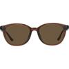 Zoff SUnCUtglasses Uv100 CUt Wellington Type SUnglasses Color Lens Lightweight U