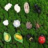 Plastic Models Chicken Simulation Animals Life Cycle Figurine Action Figures Growth Cycle Model