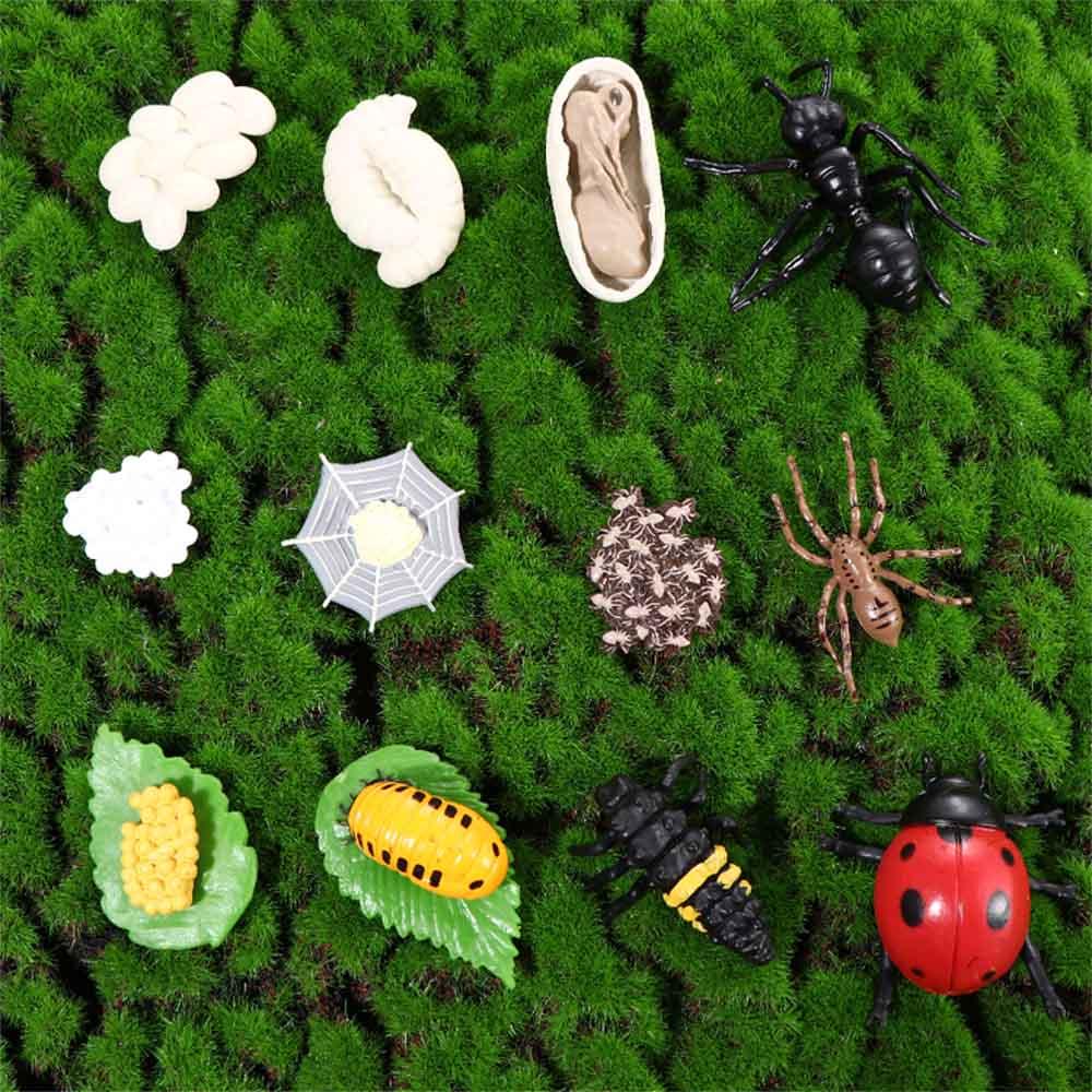 Plastic Models Chicken Simulation Animals Life Cycle Figurine Action Figures Growth Cycle Model