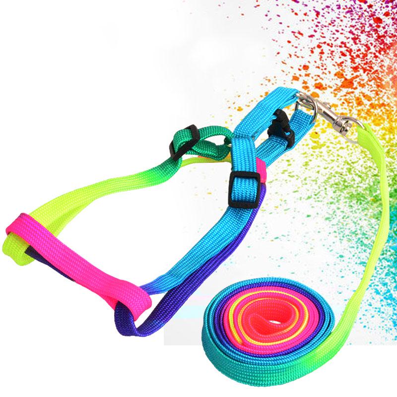 rainbow dog leash