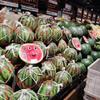 5/10/20Pcs Heavy-Duty Fruits Net Bags Large Capacity Shopping Bags For Support The Growth Of Watermelons, Pumpkins, Cantaloupes