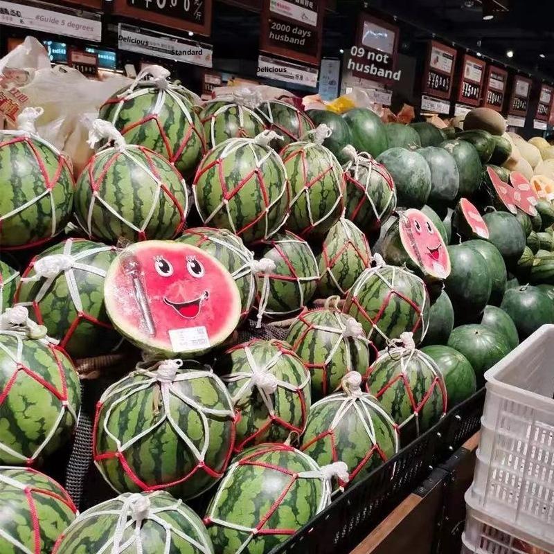 5/10/20Pcs Heavy-Duty Fruits Net Bags Large Capacity Shopping Bags For Support The Growth Of Watermelons, Pumpkins, Cantaloupes