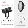 Godox SL300R Bi-Color LED Video Light Kit
