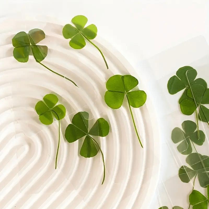 10pcs Lucky Clover Postcards Grass Transparent Wishing Cards Ideal for Bookmark Decoration Perfect Holiday Gifts School Supplies