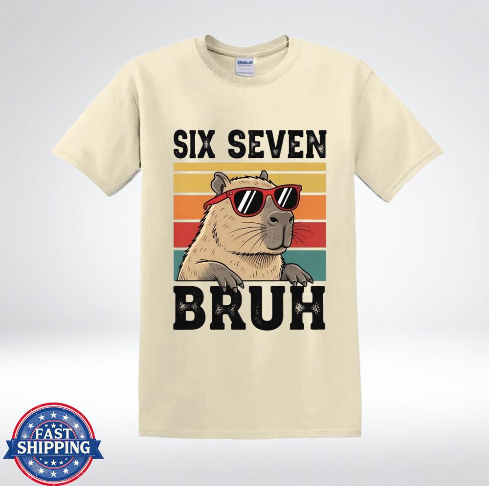 Six Seven Bruh Capybara Retro Vintage Sunglasses Funny Animal T-Shirt
