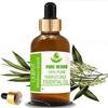 Pure Herbs Cajeput (Melaleuca Cajuputi) Pure & Natural Therapeutic Grade Essential Oil Glass
