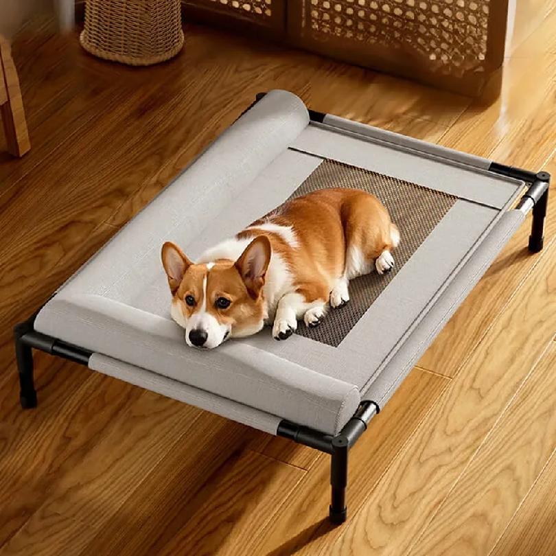 Raised Mesh Medium Large Cat Dog Off-the-ground Pet Bed Removable and Washable Breathable Pet Sofa Moisture-proof with Pillow