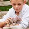 Schleich Triceratops Dinosaur Figure 15000