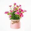 Plastic Artificial Flower Bonsai Fake Plant Flowers Potted Ornament Simulation Succulents Evergreen Bonsai Desktop Decoration