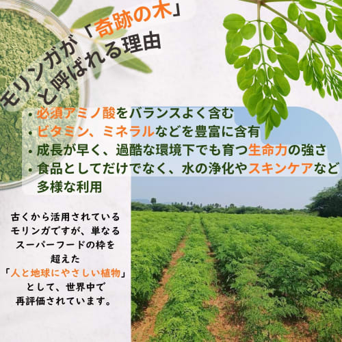 Natural Moringa Powder 100g | No Artificial Colors, Preservatives, or Pesticides | Superfood | Made in India | Health | Miracle Tree | No Additives |