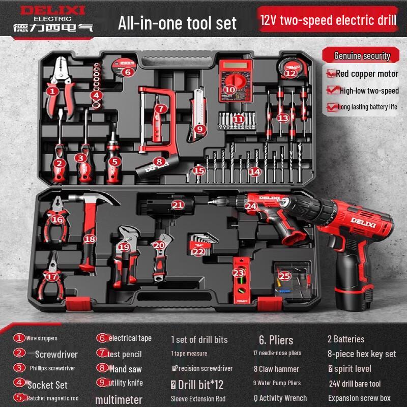 DELIXI Lithium-Ion Cordless Drill & Tool Kit CN plug (adapter included)