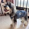 1pc New Hooded Harness Vest, Suitable for Small Dogs Like Poodle, Bichon Frise, Teddy, Spring/Autumn Pet Clothes