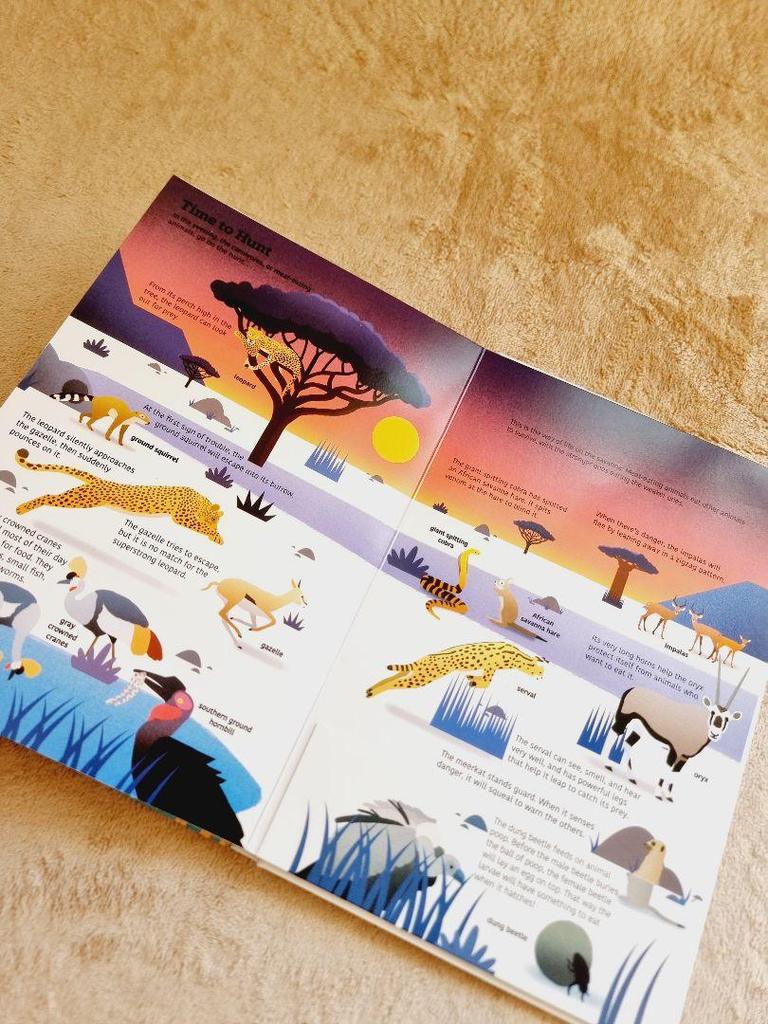 [USED] Ultimate: Savanna Animals Pop-up Book