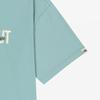 The North Face True Ta Short Sleeve Tee Grayish Turquoise Nt7us24m