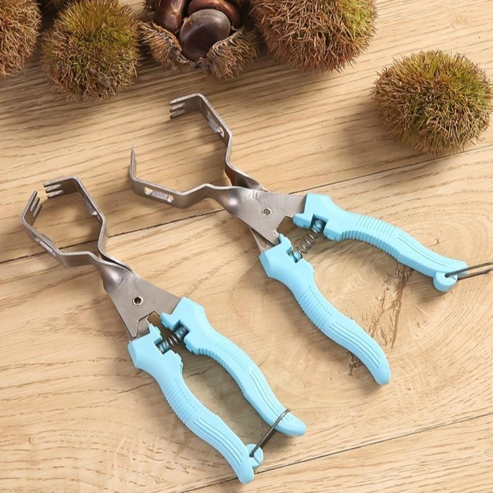 Stainless Steel Chestnut Opener Multi-Functional Chestnut Clip Peeler  Nut Processing